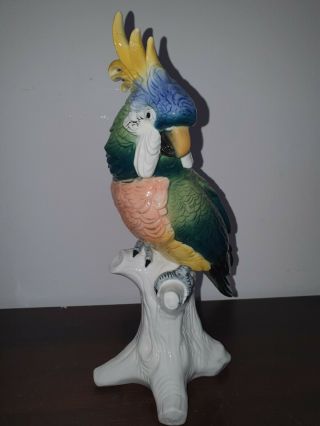 Large Karl Ens Volkstedt Porcelain Figurine Of Cockato Parrot