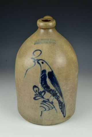 19th Century 2 Gallon Stoneware Bird Jug F.  B.  Norton & Co.  Worcester,  Ma