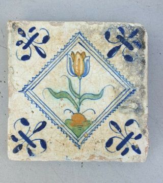 Early Antique Dutch Delft Coloured Tile.  " Tulip " Ca 1600 - 1650