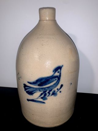 Antique 2 Gallon Blue Decorated Stoneware Bird Jug White & Wood,  York 2