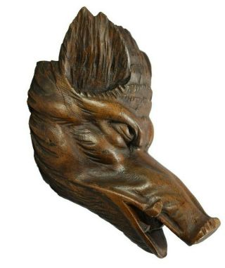 Antique French Black Forest Carved Wood Wild Boar Head Hunt Trophy
