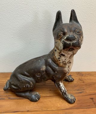 Vtg Cast Iron Doorstop Dog Boston Terrier Paint - Rare Sitting Pose