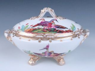 Antique Early 19thc.  English Porcelain Small Tureen Exotic Birds Insects Chelsea