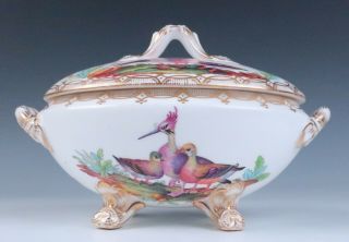 Antique Early 19thC.  English Porcelain Small Tureen Exotic Birds Insects Chelsea 2
