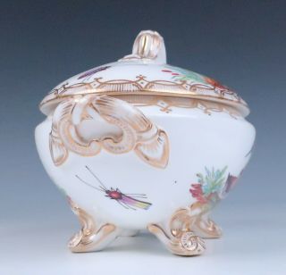 Antique Early 19thC.  English Porcelain Small Tureen Exotic Birds Insects Chelsea 3