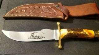 Vintage Case Xx Usa Kodiak Knife Stag W/leather Sheath No Box