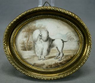 French Early 19th Century Miniature Watercolor Portrait Of A Poodle Dog