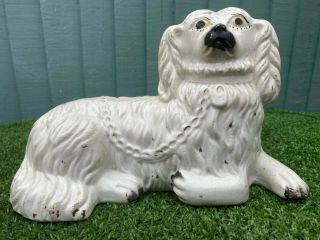 & Rare Mid 19thc Staffordshire Large Recumbent Spaniel Dog C1850