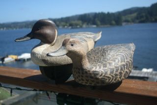 2 - Pintail Duck Decoys By George Williams,  W.  Mathewson,  Oregon Rig.