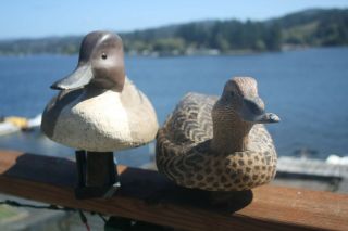 2 - Pintail duck decoys by George Williams,  W.  Mathewson,  Oregon rig. 2