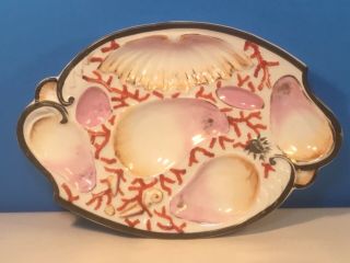 Antique Porcelain Oyster Plate C1800 
