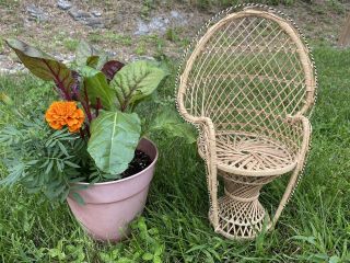 Vintage Wicker Boho Moroccan Plant Peacock Chair Small Plant Stand 1970s