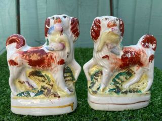 Pair: Mid 19thc Staffordshire Spaniel Dogs With Birds In Mouths C1860s
