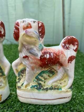PAIR: MID 19thC STAFFORDSHIRE SPANIEL DOGS WITH BIRDS IN MOUTHS c1860s 3