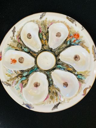 Antique Union Porcelain Oyster Plate With Lavish Decoration