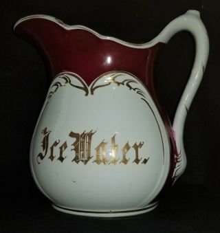 Ice Water Pitcher,  Semi - Porcelain,  Kt&k,  Knowles Taylor & Knowles,  C1880,  9.  5 "