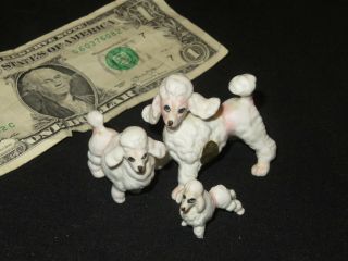 Vintage Bone China Poodle Dog Figurine Family Miniature Set (y685)
