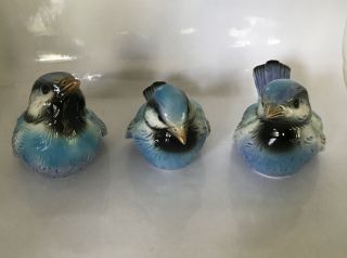 Goebel Blue Birds Ceramic Figurines Set Of 3 Cv72,  Cv73,  Cv74 West Germany