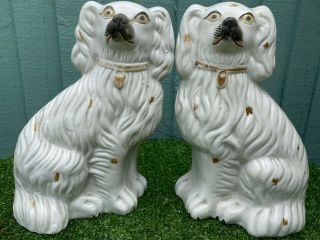 Pair: 19thc Staffordshire Seated White & Gilt Spaniel Dogs C1890s