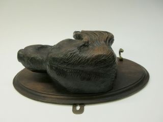 RESERVED FOR D 19th Century Black Forest wood figural Dog head leash holder 3