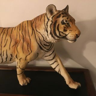 1988 Franklin Bengal Tiger 