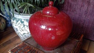 Chinese Sang De Boeuf Oxblood 19th C.  8 " Ginger Jar - Urn - Vase - Caddy Vessel