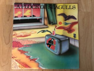 A Flock Of Seagulls - S/t 1982 Jive ‎jv 6600 Canadian Jacket Vg,  Vinyl Nm I Ran