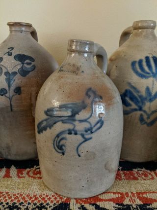 Early Antique One Gallon Stoneware Jug Cobalt Bird On A Branch Troy Pottery Aafa