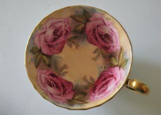 Aynsley Turquoise Oban Footed Cup & Saucer w Pink Cabbage Roses 3