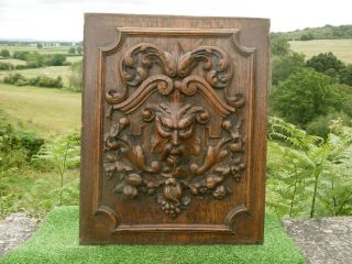 Stunning 19thc Gothic Oak Wood Carved Panel With Devilish Green Man & Fruits