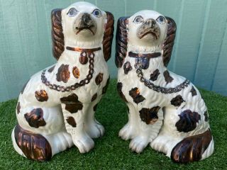 19thc Staffordshire Seated Lustre & White Spaniel Dogs C1880s