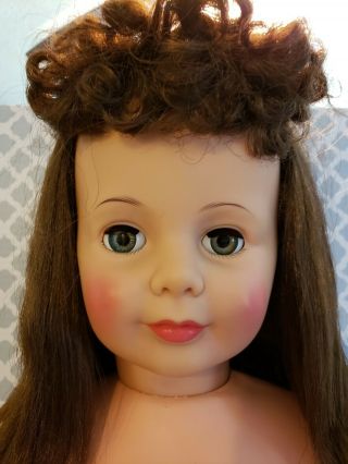 Vintage Ideal Patti Playpal Doll Brunette Centerpart Curly Bangs 35 Inches 2
