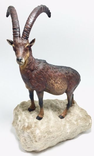 Antique Franz Bergman (attr. ) - Alpine Ibex Cold Painted Vienna Bronze - Austria