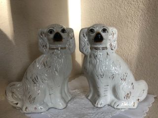 Pair 19thc Staffordshire White & Gilt Spaniel Dogs With Glass Eyes C1890s