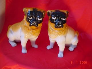 Antique Pugs,  Austrian,  From Victoria Factory