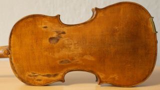 Very Old Labelled Vintage Violin " Carlo Giuseppe Testore " 小提琴 ヴァイオリンgeige 1278