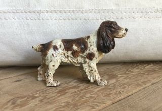 Wonderful Antique Vienna Austrian Bronze Springer Spaniel Dog