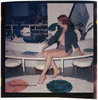 Bunny Yeager 1960s Color Camera Transparency Pin - Up Queen Sexy Leggy Lacey Kelly 2