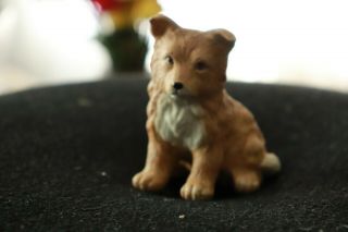 Vintage Porcelain Puppy Dog Figurine Red Heeler Australian Cattle Dog Homco 8828