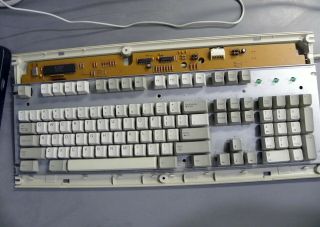 Vintage Dell Old Logo AT101 Mechanical Salmon Alps Sliders Keyboard GYI3PVAT101 2