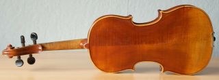 Very Old Small Labelled Vintage Violin " Giuseppe Ornati " Fiddle 小提琴 ヴァイオリン Geige