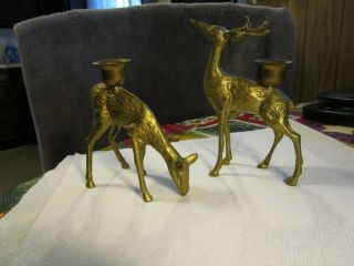 Lovely Solid Brass Buck&doe Deer Candle Holders 2 Piece Set L@@k