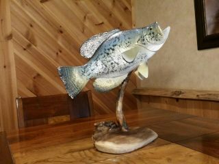Crappie Wood Carving Taxidermy Fish Vintage Fish Lure Fish Decoy Casey Edwards