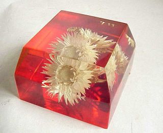 Vintage Acrylic / Lucite Paperweight W Flower From South Africa.