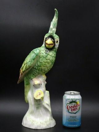 Exquisite Mottahedeh Majolica " Cockatoo " 16 " Figurine Made In Italy