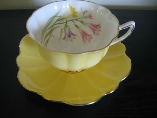 Shelley Yellow Scalloped Purple Pink Flower Tea Cup And Saucer