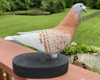 Spectacular Detailed Vintage Folk Art Wood Carving Decoy Dove/pigeon