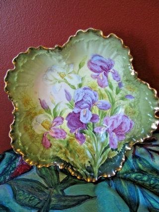 Antique P.  T.  Bavaria Hand Painted Porcelain Bowl & Cake Plate Iris Flowers 2