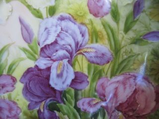 Antique P.  T.  Bavaria Hand Painted Porcelain Bowl & Cake Plate Iris Flowers 3