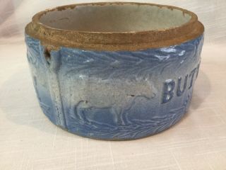 Rare Antique Blue And White Stoneware Salt Glaze Butter Cow Crock 2